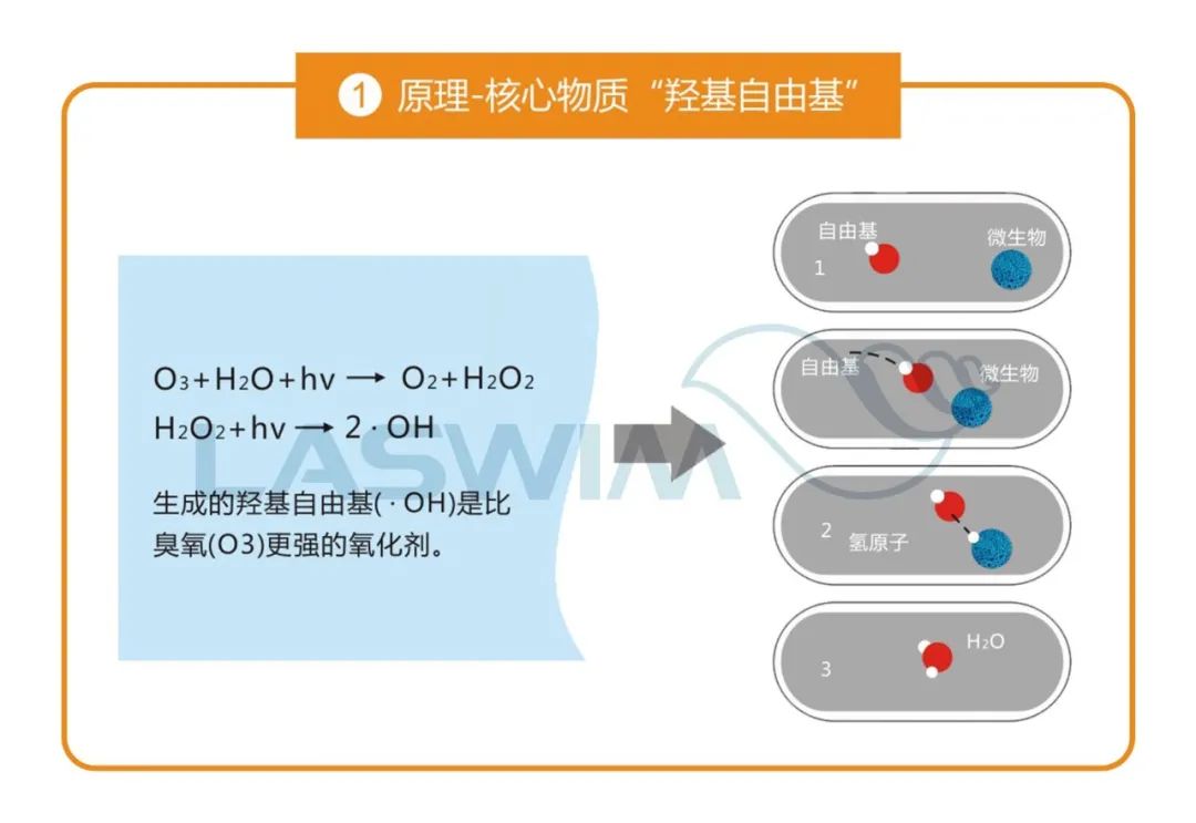 羟基自由基